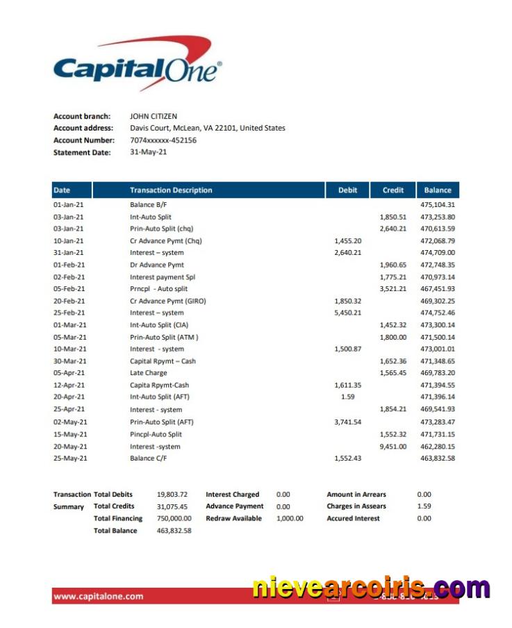 USA Capital One bank statement easy to fill in Excel and PDF format
